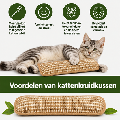 PurrPillow | Houd Je Kat Actief En Ontspannen