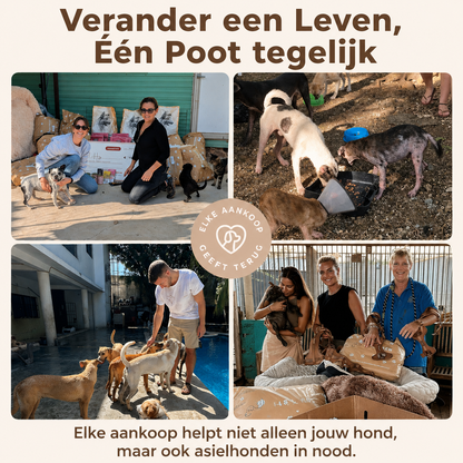 CoolPaw | Houd Je Hond Heerlijk Koel