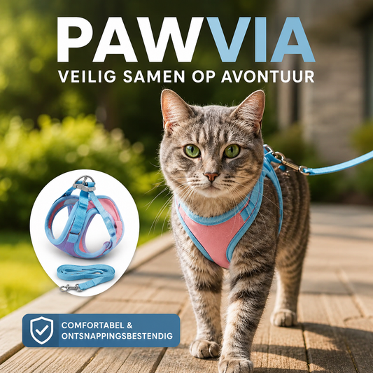 Pawvia | Veilig, Comfortabel & Ontsnappingsproof Wandelen