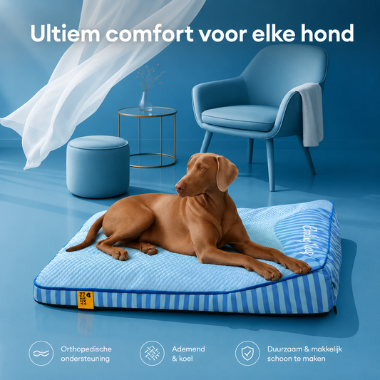 CoolNest | Verkoelend & Orthopedisch Hondenbed
