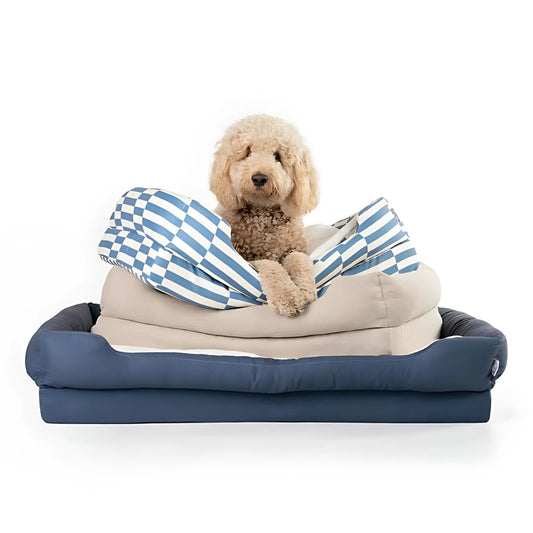 PawBed | Hondenbed met Cozy & Cooling Pad