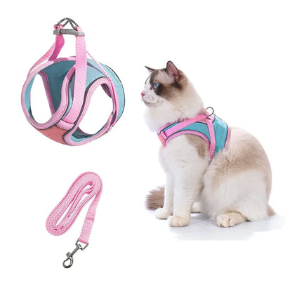 Pawvia | Veilig, Comfortabel & Ontsnappingsproof Wandelen