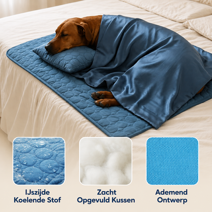 CoolPaw | Houd Je Hond Heerlijk Koel