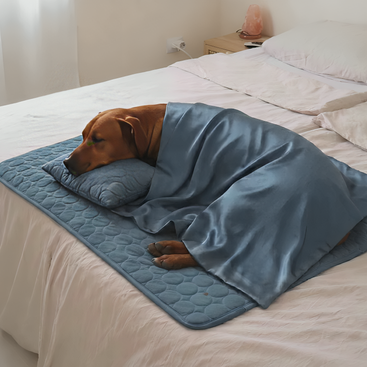 CoolPaw | Houd Je Hond Heerlijk Koel