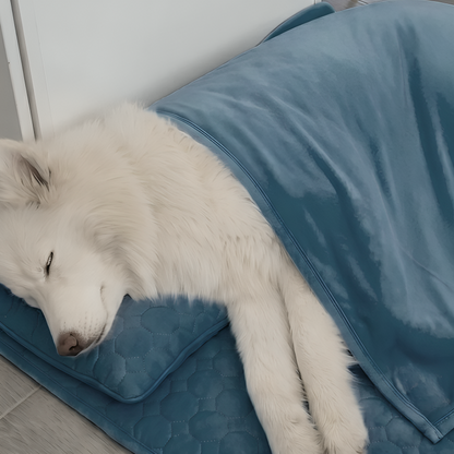 CoolPaw | Houd Je Hond Heerlijk Koel
