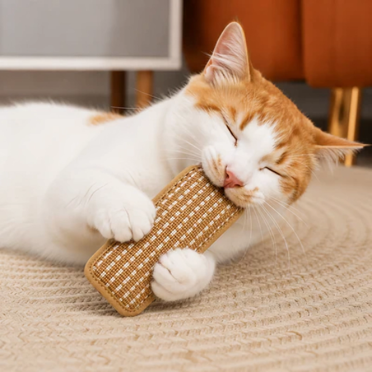 PurrPillow | Houd Je Kat Actief En Ontspannen
