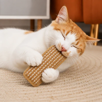 PurrPillow | Houd Je Kat Actief En Ontspannen