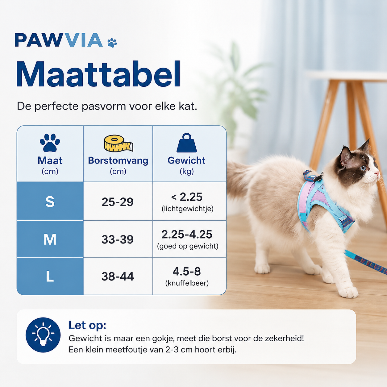 Pawvia | Veilig, Comfortabel & Ontsnappingsproof Wandelen