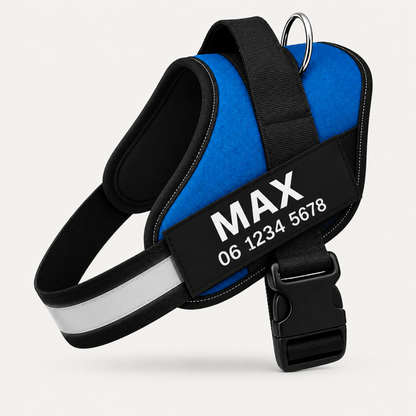 EasyWalk | Moeiteloos En Comfortabel Wandelen Met Je Hond