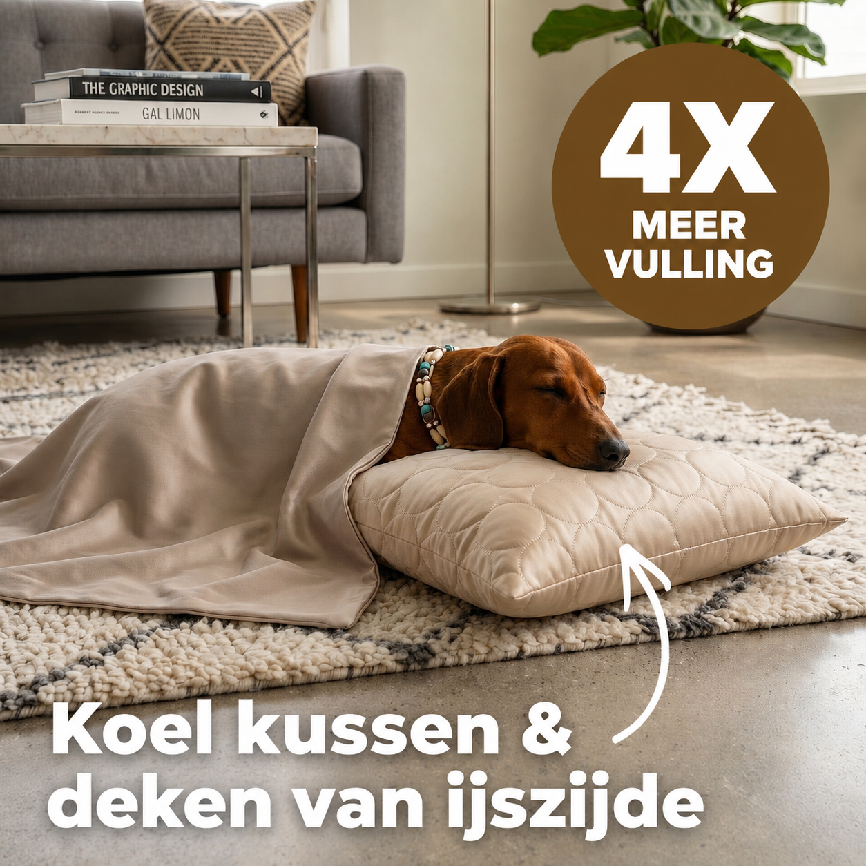 CoolPaw | Houd Je Hond Heerlijk Koel
