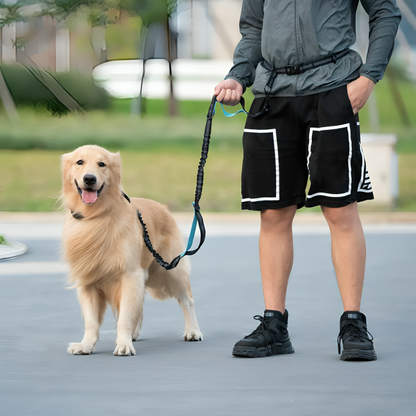 PawMotion | Comfortabel Handsfree Wandelen Met Je Hond