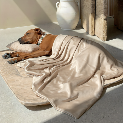 CoolPaw | Houd Je Hond Heerlijk Koel