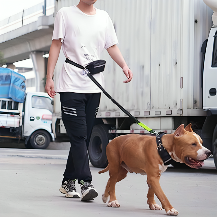 PawMotion | Comfortabel Handsfree Wandelen Met Je Hond