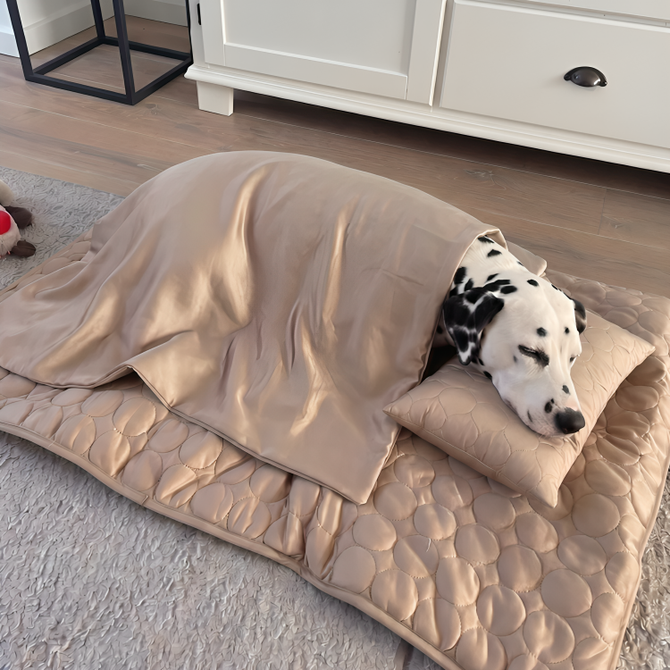 CoolPaw | Houd Je Hond Heerlijk Koel