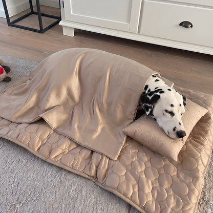 CoolPaw | Houd Je Hond Heerlijk Koel
