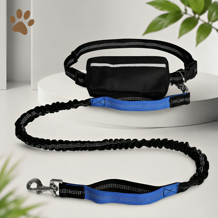 PawMotion | Comfortabel Handsfree Wandelen Met Je Hond