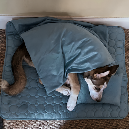 CoolPaw | Houd Je Hond Heerlijk Koel