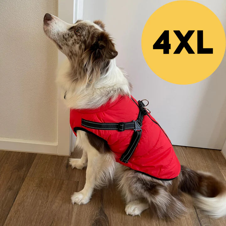 RainDefender | Waterdichte Hondenjas Extreme 2.0