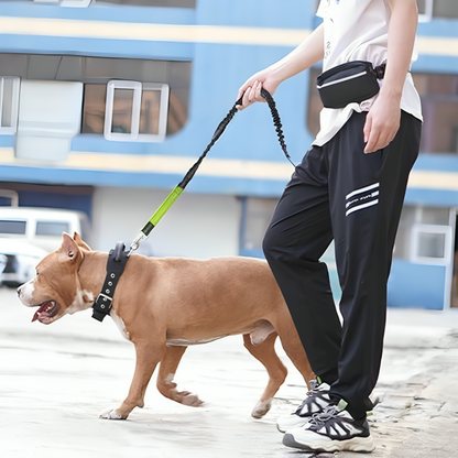 PawMotion | Comfortabel Handsfree Wandelen Met Je Hond