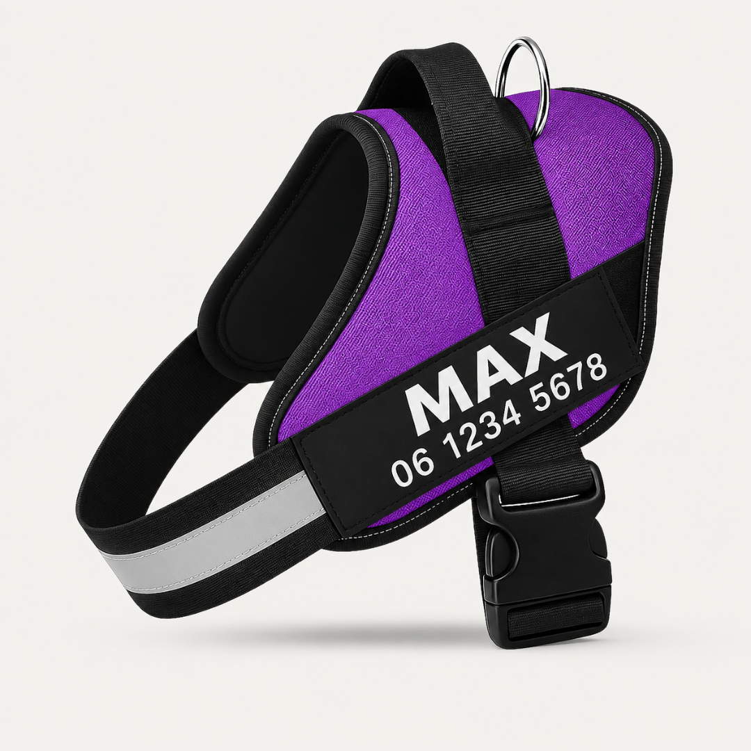 EasyWalk | Moeiteloos En Comfortabel Wandelen Met Je Hond