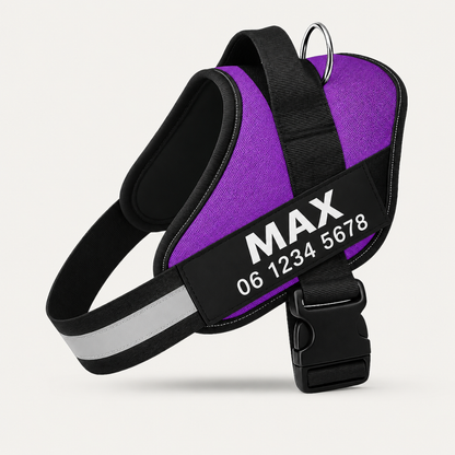 EasyWalk | Moeiteloos En Comfortabel Wandelen Met Je Hond