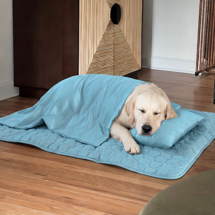 CoolPaw | Houd Je Hond Heerlijk Koel