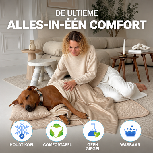 CoolPaw | Koelmat voor Honden | Inclusief Gratis Koeldeken & Koelkussen