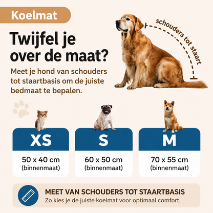 CoolPaw | Houd Je Hond Heerlijk Koel