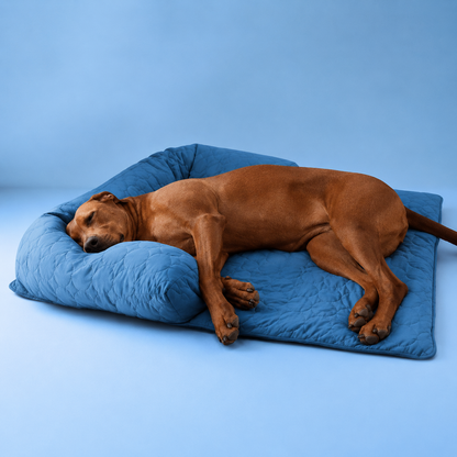 CoolPaw | Houd Je Hond Heerlijk Koel