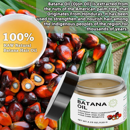 HairVital | 100% Hondurese Batana Olie