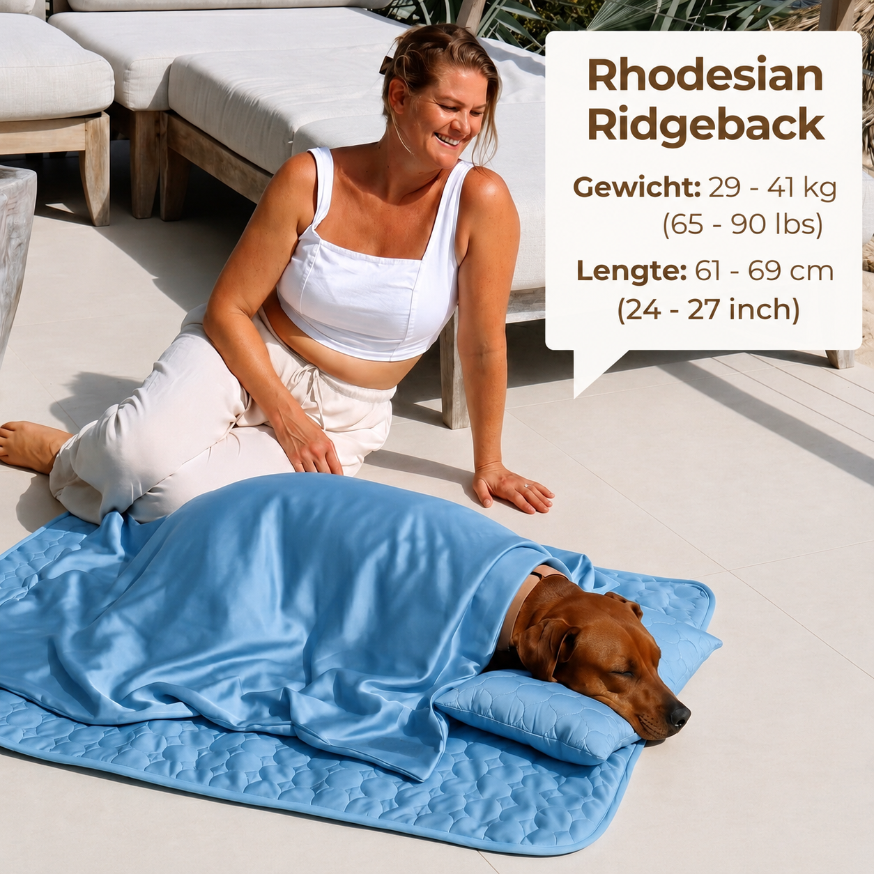 CoolPaw | Houd Je Hond Heerlijk Koel