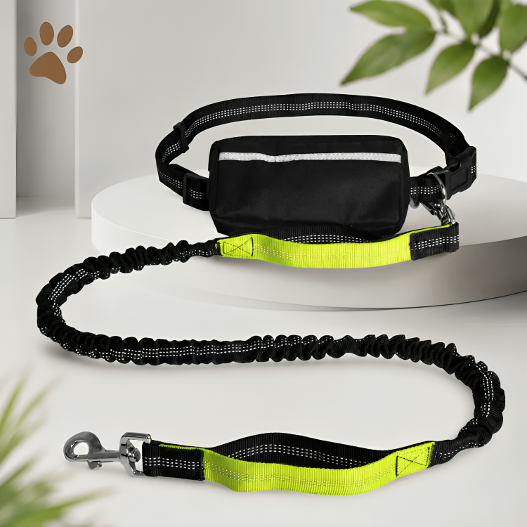 PawMotion | Comfortabel Handsfree Wandelen Met Je Hond