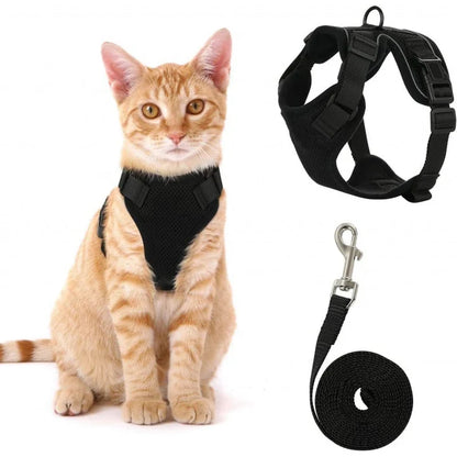 Pawvia | Veilig, Comfortabel & Ontsnappingsproof Wandelen
