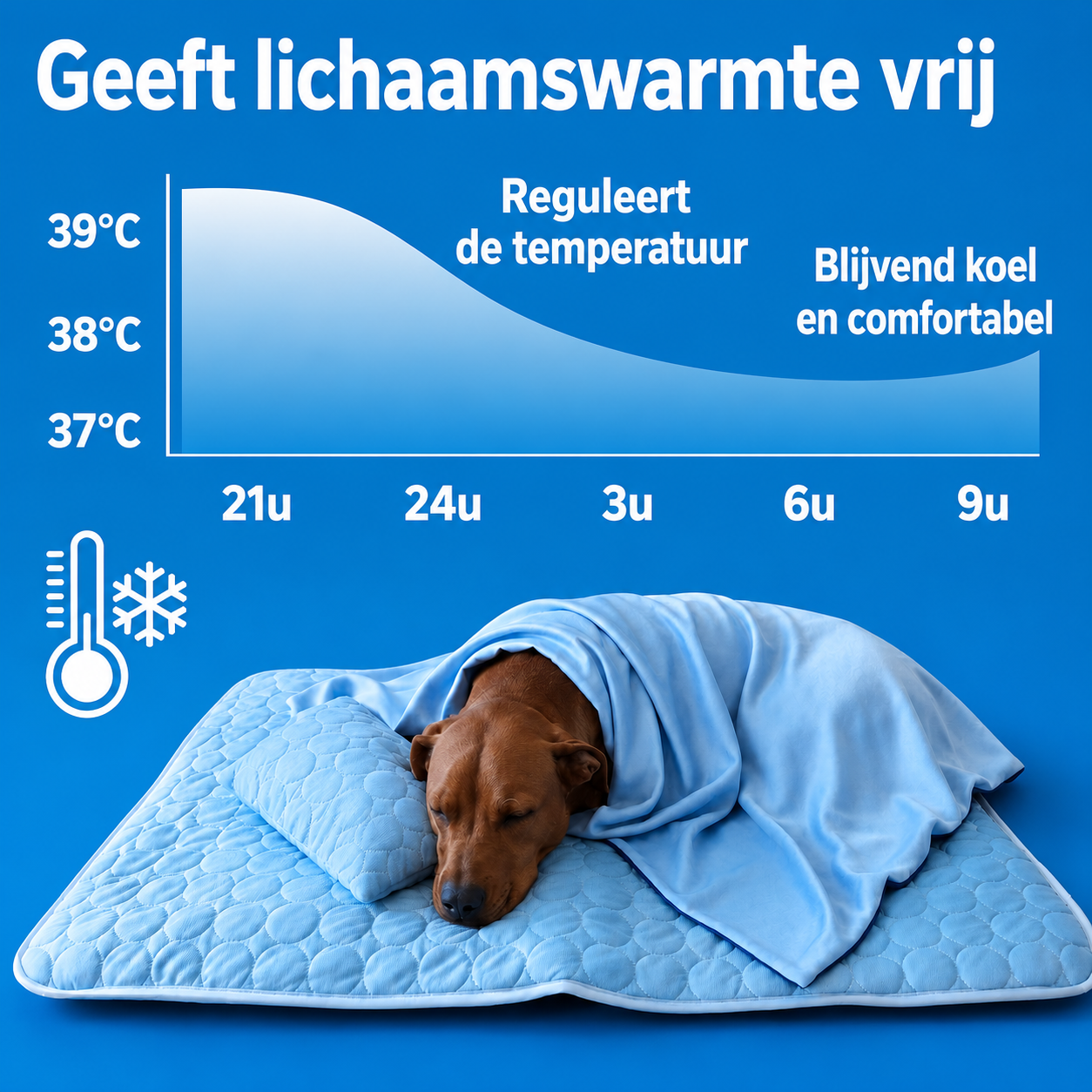 CoolPaw | Houd Je Hond Heerlijk Koel