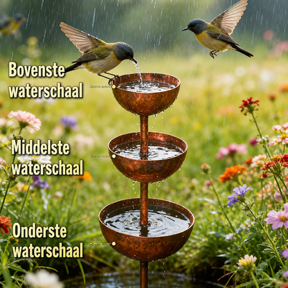BirdBath | Een Frisse Drinkplek Voor Vogels