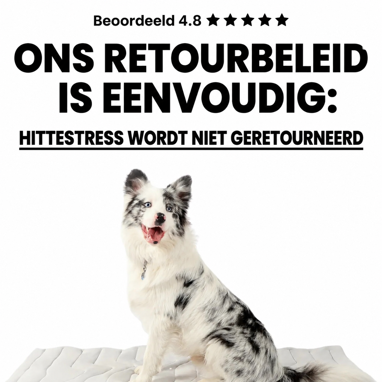CozzyMat | Comfortabele Verkoeling Voor Je Huisdier