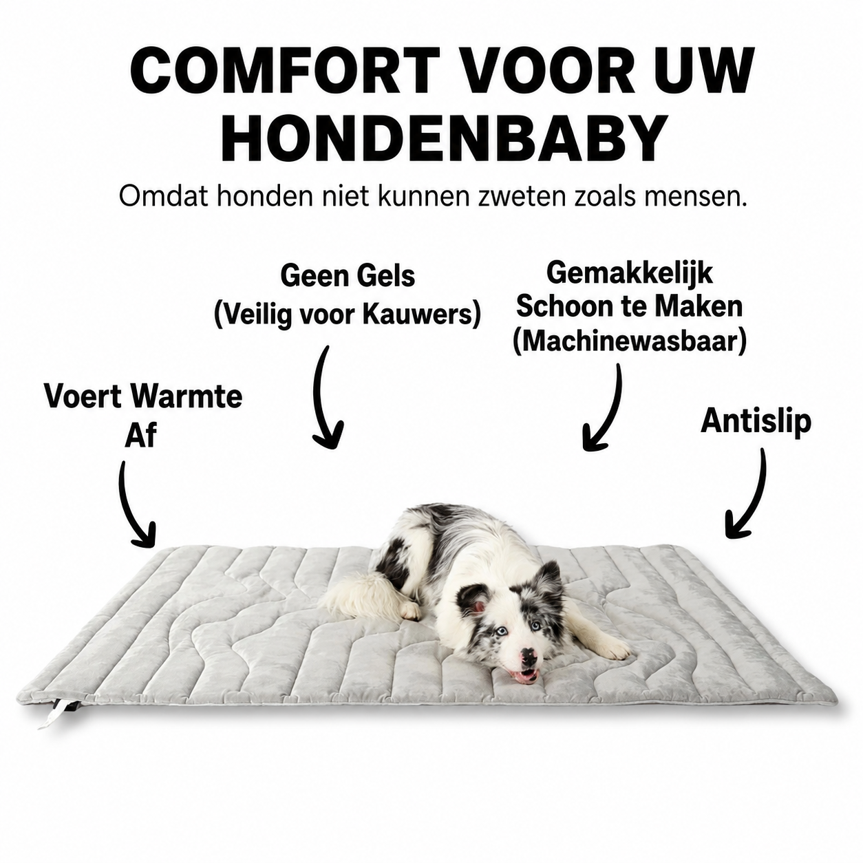 CozzyMat | Comfortabele Verkoeling Voor Je Huisdier