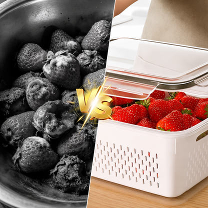 VersHouder | Houd Groente En Fruit Langer Vers  4-in-1