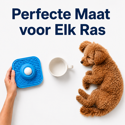 CalmBowl | Rustiger Eten, Meer Ontspanning Voor Je Hond