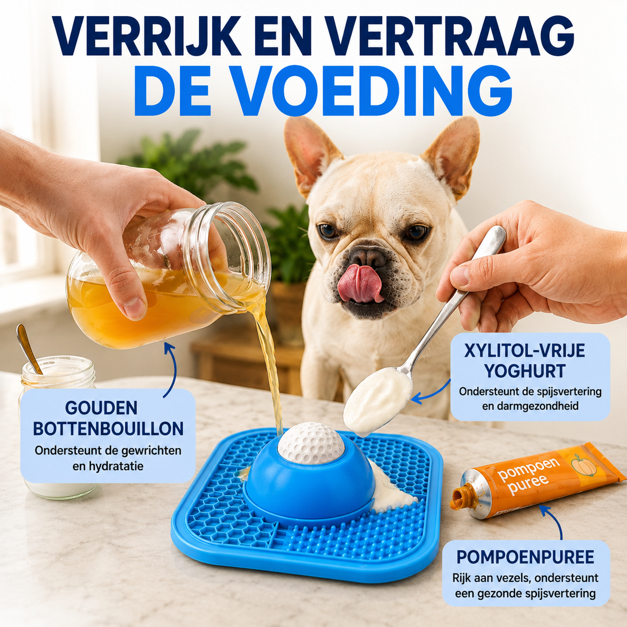 CalmBowl | Rustiger Eten, Meer Ontspanning Voor Je Hond