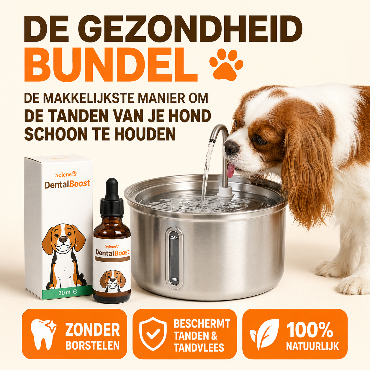 PetFountain | Altijd Fris Drinkwater Voor Je Hond