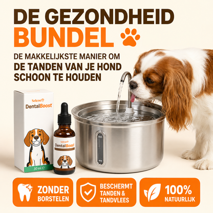 PetFountain | Altijd Fris Drinkwater Voor Je Hond