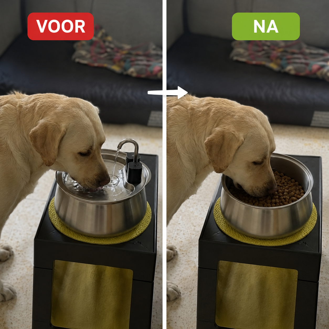 PetFountain | Altijd Fris Drinkwater Voor Je Hond