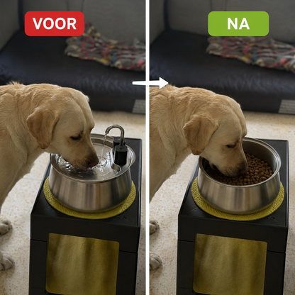 PetFountain | Altijd Fris Drinkwater Voor Je Hond