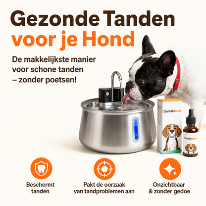 PetFountain | Altijd Fris Drinkwater Voor Je Hond
