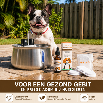PetFountain | Altijd Fris Drinkwater Voor Je Hond