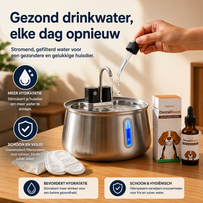 PetFountain | Altijd Fris Drinkwater Voor Je Hond