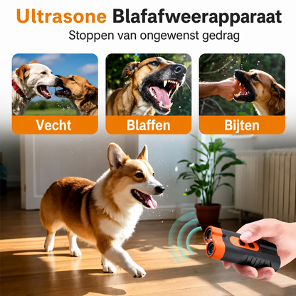 Dog Trainer | Diervriendelijke Blafcontrole & Gedragstraining