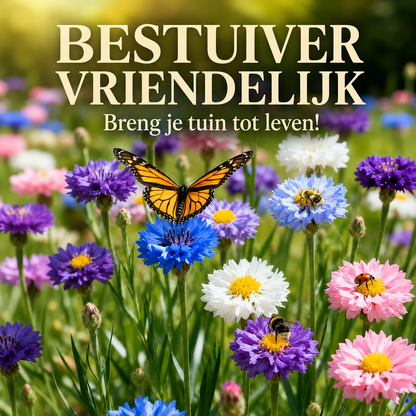 Flowerseeds | Kleurrijke Bloei Van Lente Tot Herfst