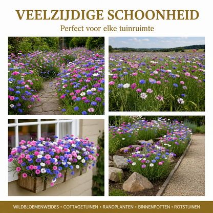 Flowerseeds | Kleurrijke Bloei Van Lente Tot Herfst